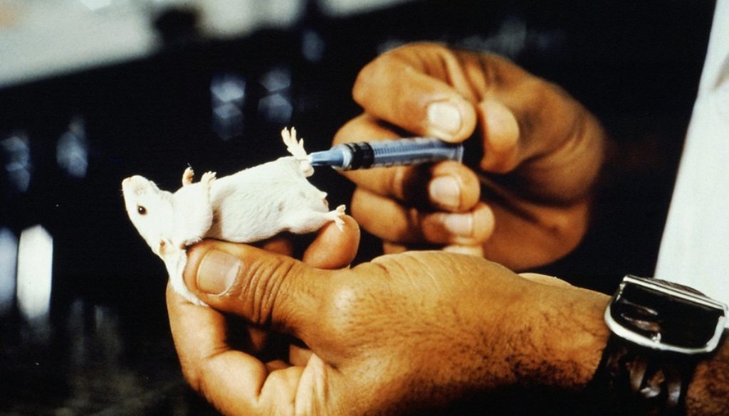 Question écrite au Ministre de la recherche quant au remplacement des souris en tant que usines vivantes pour la production d'anticorps monoclonaux, déjà effectif dans d'autres pays de l'UE
questions.assemblee-nationale.fr/q16/16-13727QE…