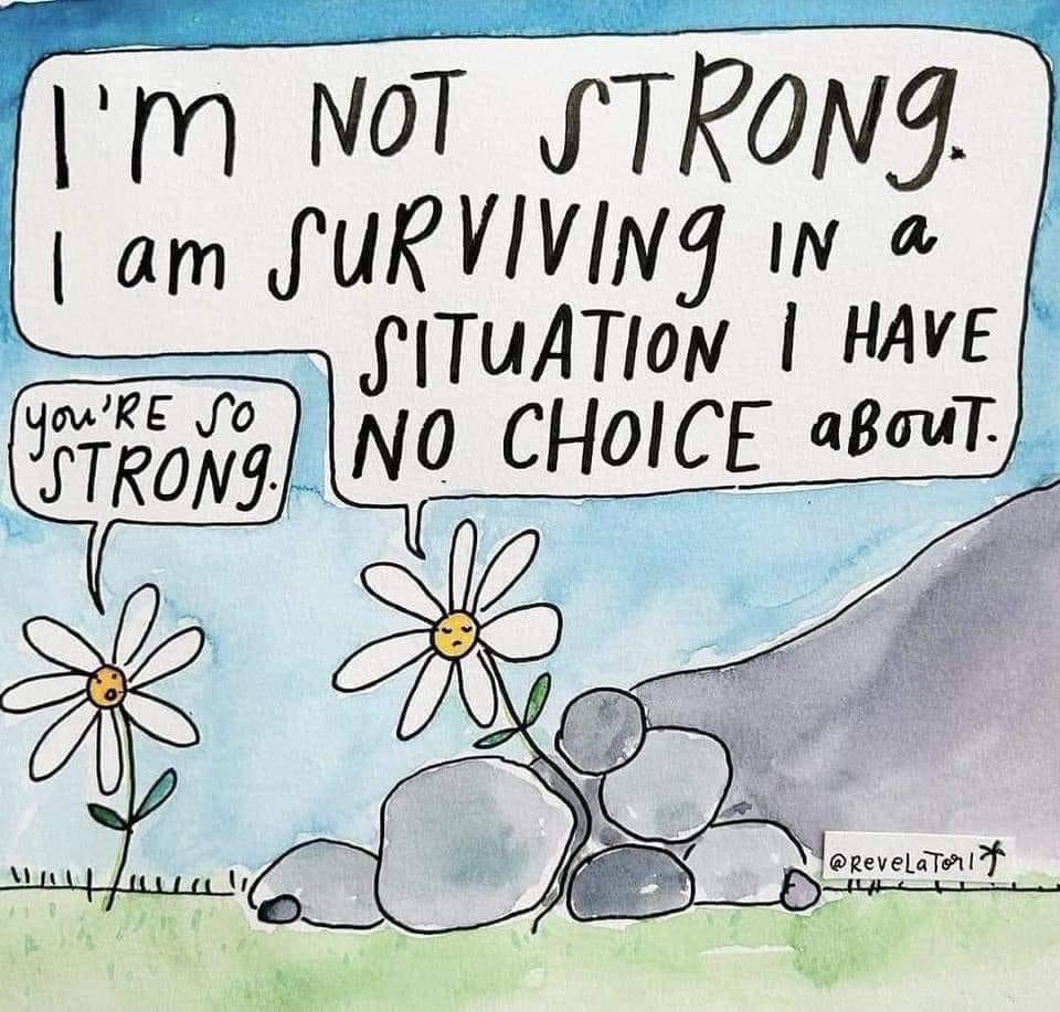 Fietser-met-licht (@fietsermetlicht) on Twitter photo 