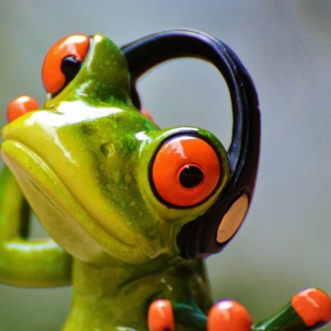 PietjePool1's tweet image. 🎶🎤 Beautiful People.❤️
Dag lieve mensen,ik wil jullie niet alleen een #Fijn maar ook een #GóedWeekend wensen.
😉💋🍀👊

#Carpediem.🙏