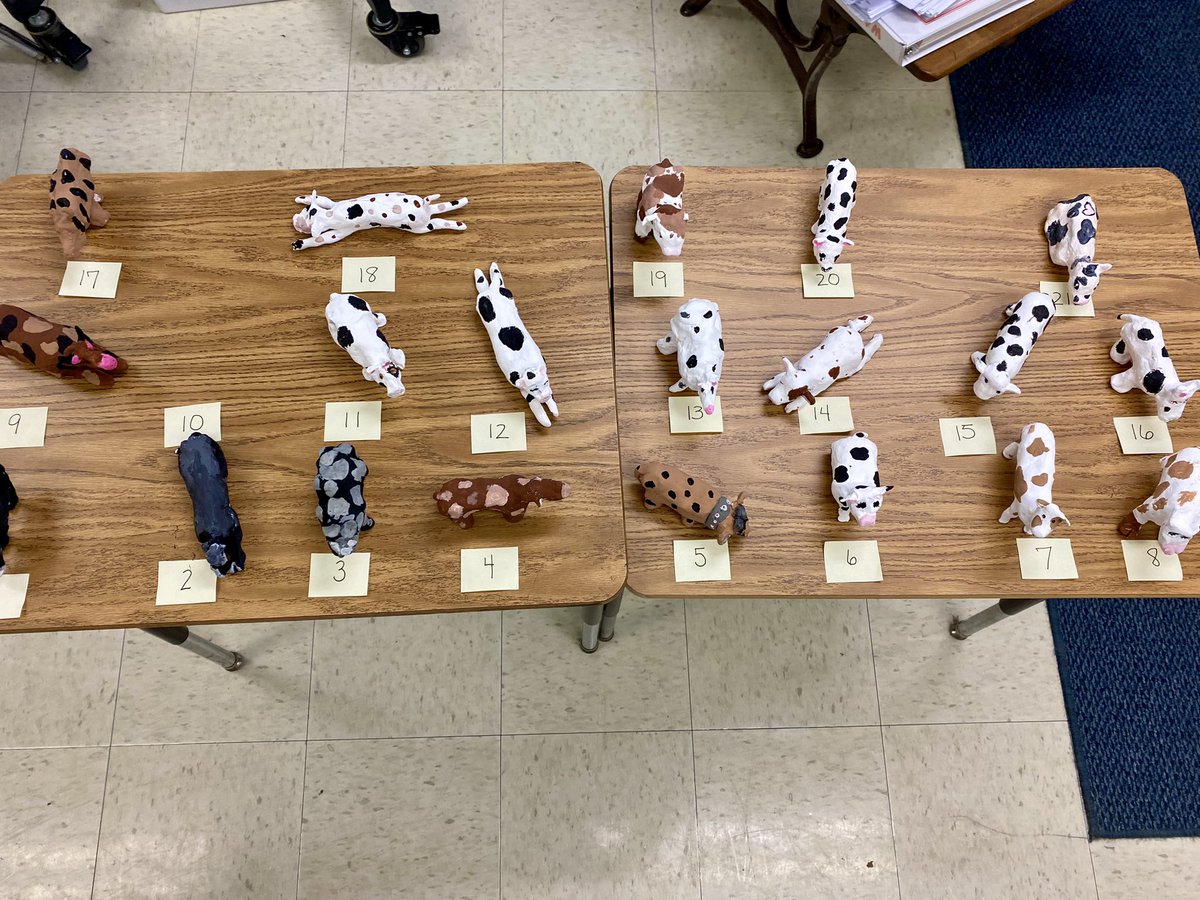 Ann Jacob tweet media