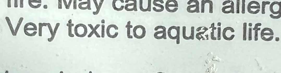 when im mean to the squid timmies in battlefy chat