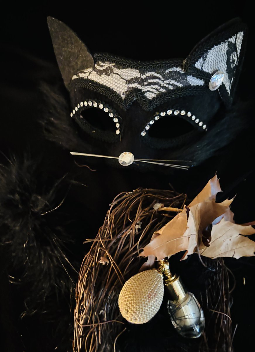 PhoneBrooke's tweet photo. yellow gold..just for you!  the best is in my nest! right? https://t.co/zShMFIluau