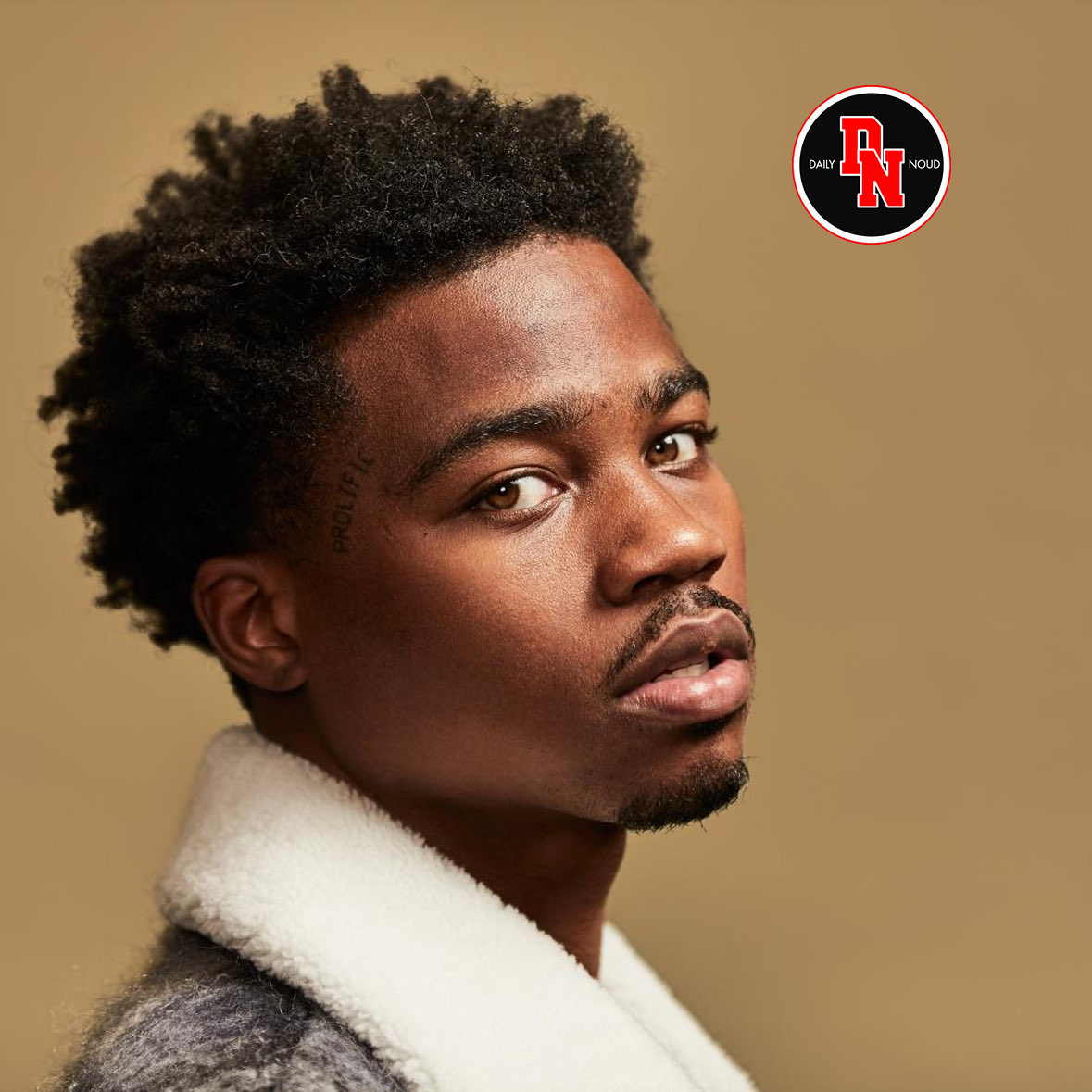 Daily Noud tweet media