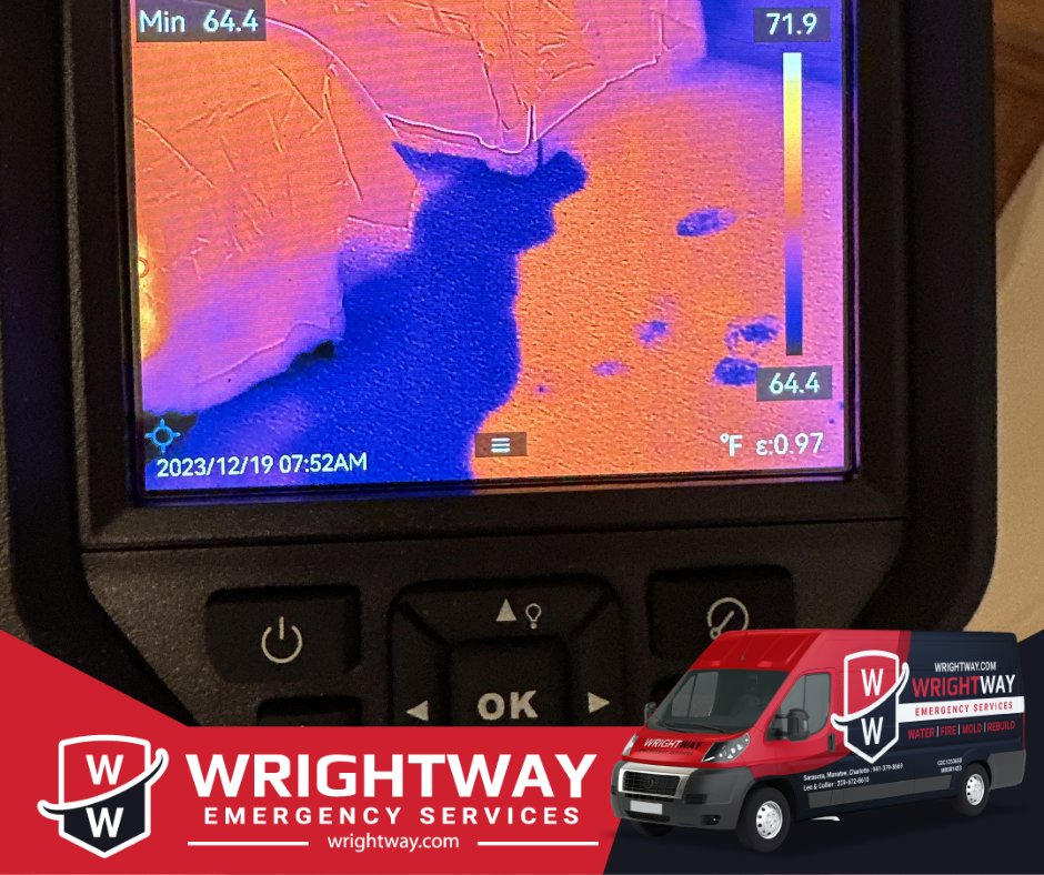 🔥 Thermal imaging isn't new to us at WrightWay! We've been mastering this tech to pinpoint water damage and offer precise restorations. No hidden moisture escapes our eagle-eyed approach. Your property's in expert hands with us! 🛠️💧

Need help? 📞 941-379-8669