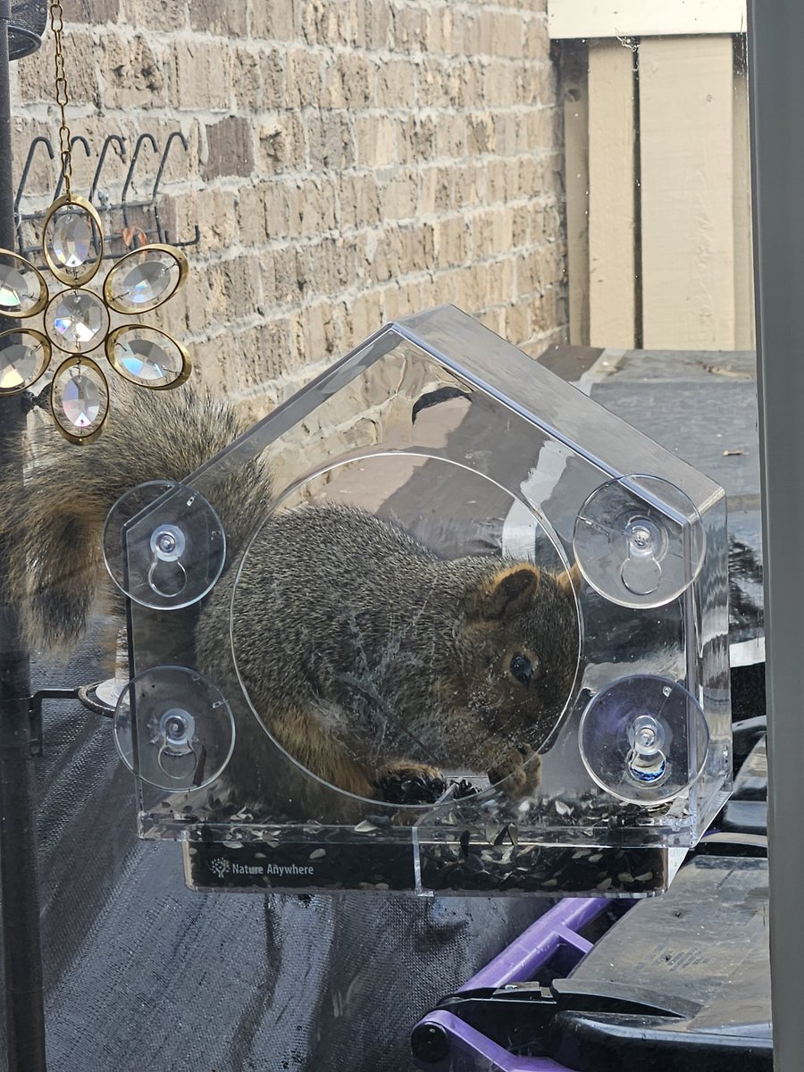 Bird watching , lol #FridayVibes