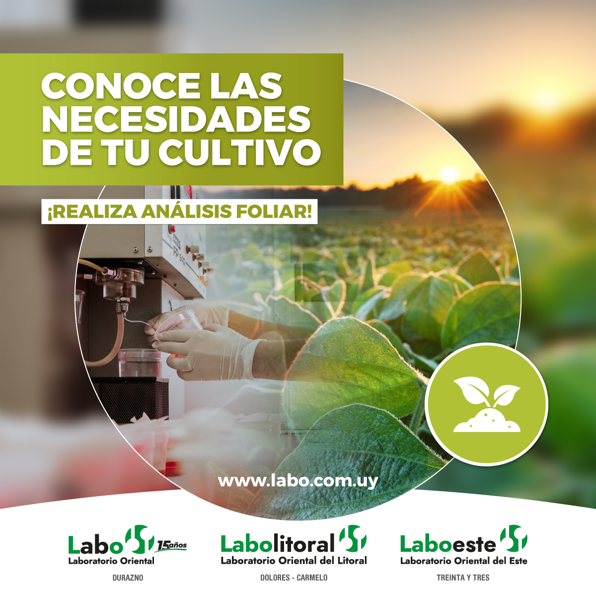 Para un correcto diagnóstico de tu cultivo, ¡realiza ANÁLISIS FOLIAR!

CONSULTAS GENERALES
+598 97 730 755 (llamada o whatsapp