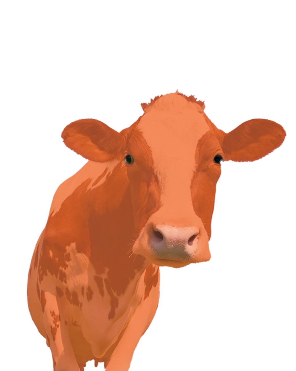 FusionForward's tweet image. More testing ...