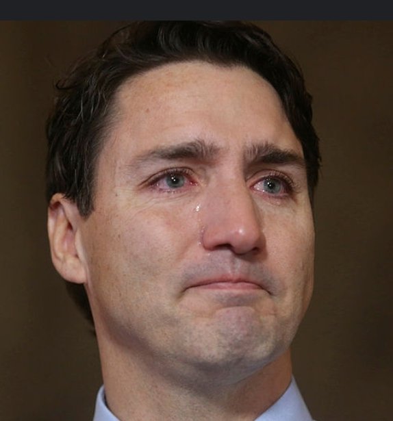 That face you make when you realize the Freedom Convoy didn't break the law but you did...