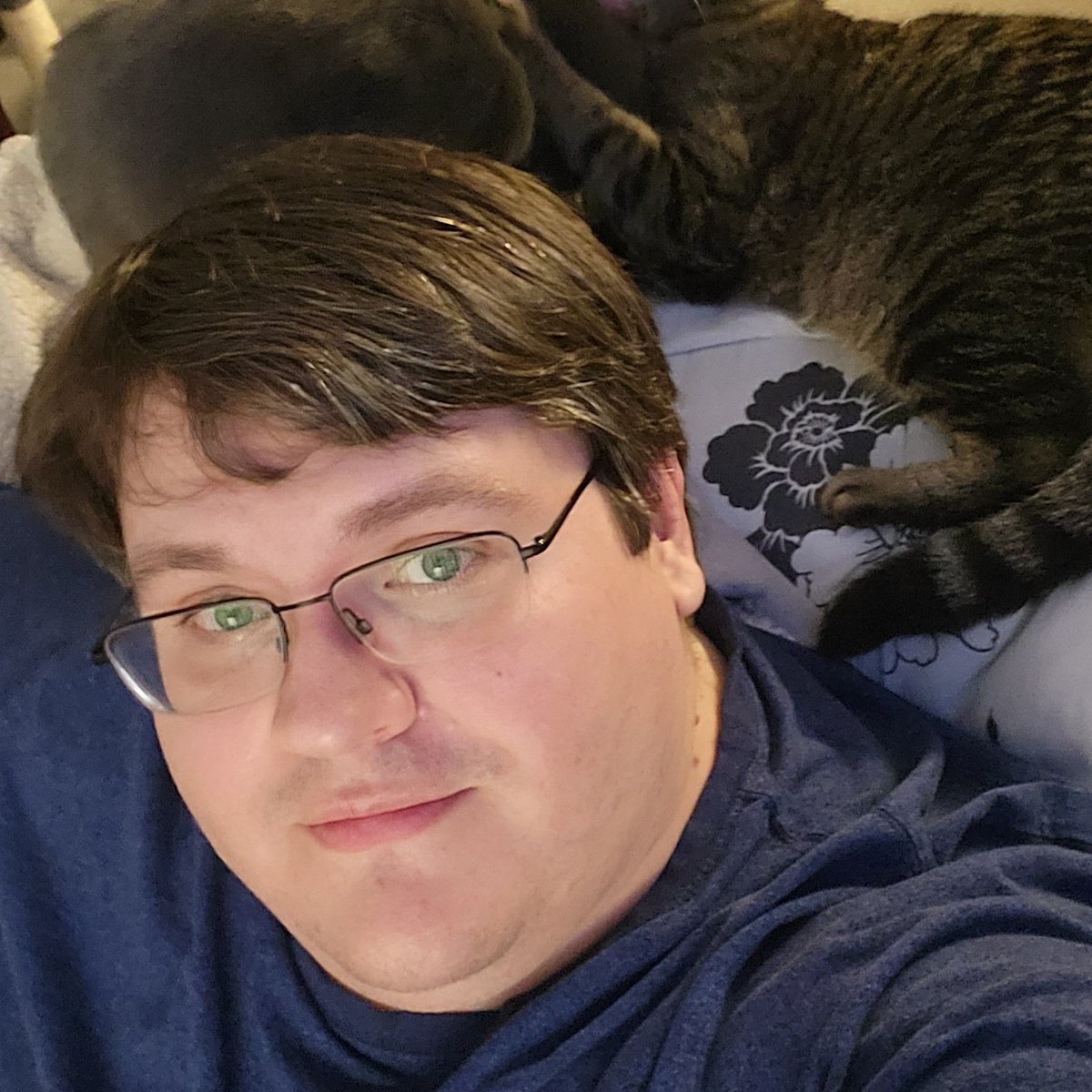 ODST Strong Bad tweet media