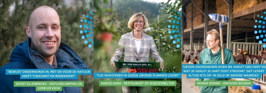 𝗚𝗿𝗼𝗲𝗻𝗲 𝗞𝗼𝗽𝗹𝗼𝗽𝗲𝗿𝘀 𝗶𝗻 𝗢𝘃𝗲𝗿𝗶𝗷𝘀𝘀𝗲𝗹 I 'Investeren in groene plannen loont' Een groenplan met stevige natuurlijke structuren is daarbij een must. Doe net als <a href="/ErfgoedBossem/">Erfgoed Bossem</a> <a href="/Rheezerbelten/">De Rheezerbelten</a> en <a href="/lemeleresch/">De Lemeler Esch</a> e. a. 
Check de whitepaper >> lnkd.in/e3QhB94s