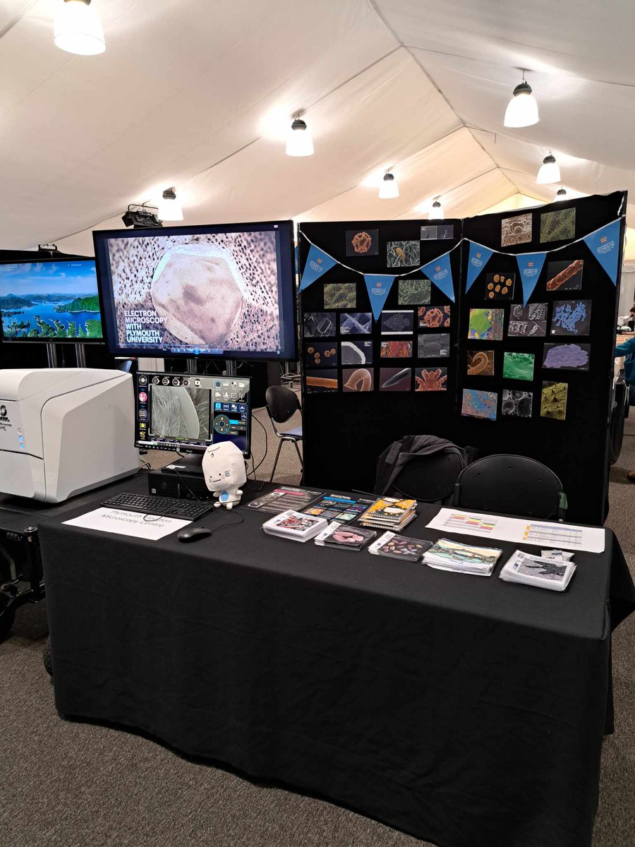 Today, we took our @JEOLEUROPE NeoScope™ Benchtop SEM to the @PlymUni Science and Technology showcase, and showed over 450 school students how a Scanning Electron Microscope generates images LIVE! 🐝 #ElectronMicroscopy #SciTechShowcase #Biology #Geology #Imaging #Outreach