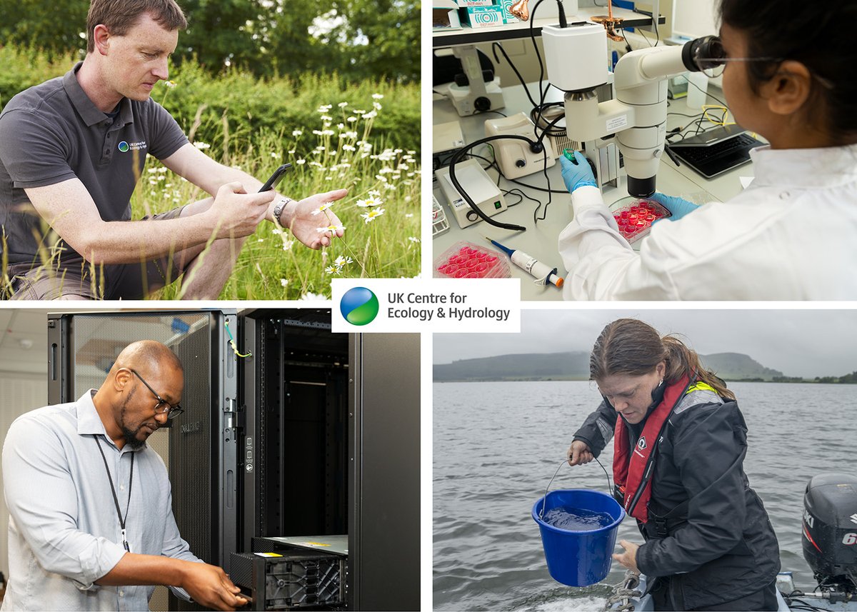 Are you passionate about the environment and want to make a real impact? We seek 3 exceptional individuals to join our board of trustees!

🌟A new Chair with outstanding leadership experience
🌟Trustees with strong backgrounds in science and finance

🔗 ceh.ac.uk/news-and-media…