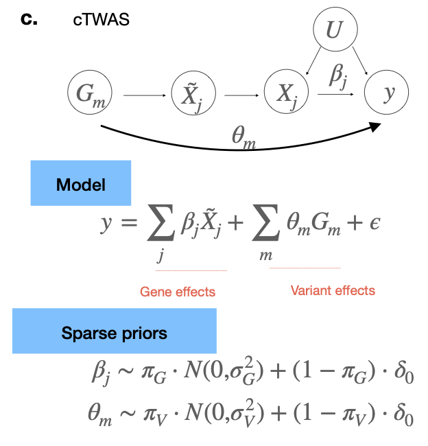 Siming Zhao tweet media