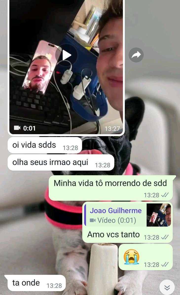 maisa's tweet image. morrendo de sdd