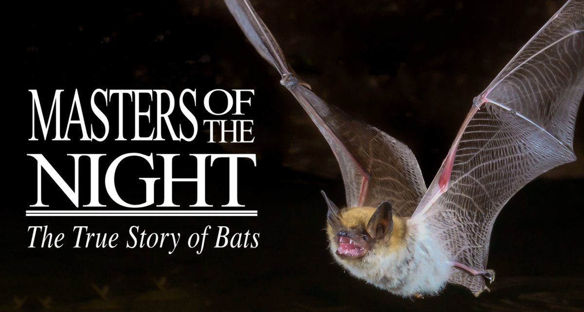 Thank you for your patience as we paint our Special Exhibit Hall today in preparation for our next special exhibit, “Masters of the Night: The True Story of Bats', opening Saturday, February 10! Learn more at vmnh.net/events/masters…!