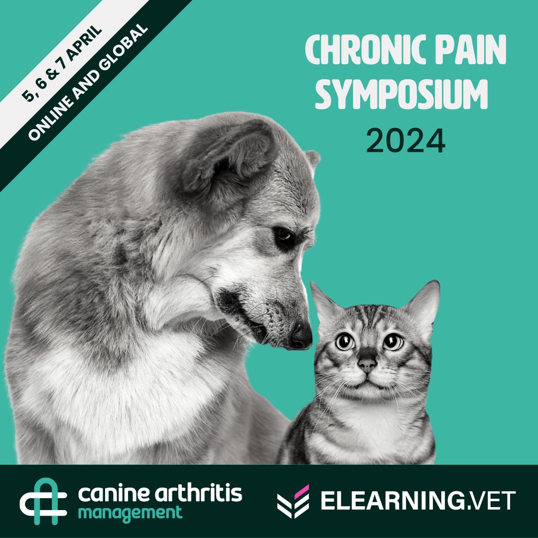 ElearningV's tweet image. S A V E  T H E  D A T E.

🎙️ Brace yourselves for three days of captivating talks from the heavy hitters in pain management. Secure your spot for this transformative symposium. Click here: i.mtr.cool/gosmjouhes

#ChronicPainSymposium #ElearningVet #CAM #PainManagementExperts