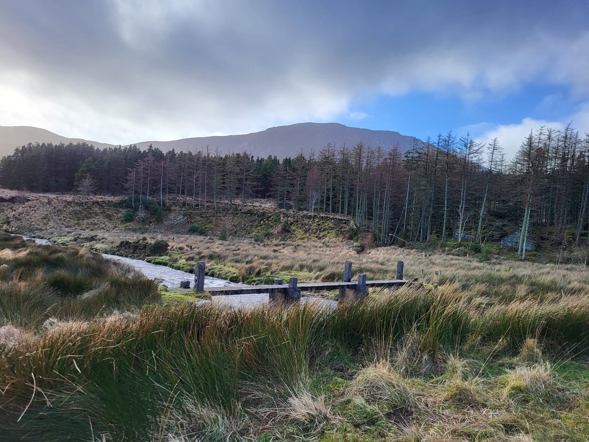 Thanks to Elvira, Mary & Colin @marinei for hosting a meeting on work undertaken in the Burrishoole Catchment which is helping to inform discussions on peatland reference conditions, restoration plans,long-term monitoring of carbon and climate. #ACRES @WAN_LIFEIP @WaterLANDS_EU