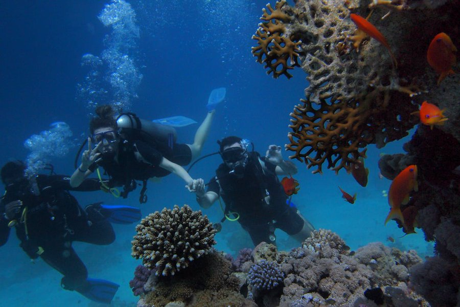 Dive into the depths of adventure with Scuba Diving!

Share your favorite #underwater moments and tell us which dive spots you love the most.

Check Out the Best Outdoor #Adventure Activities➡️ highstuff.com/travel-moments…

#ScubaDiveAdventure #DiveIntoNature #OceanLove #diving