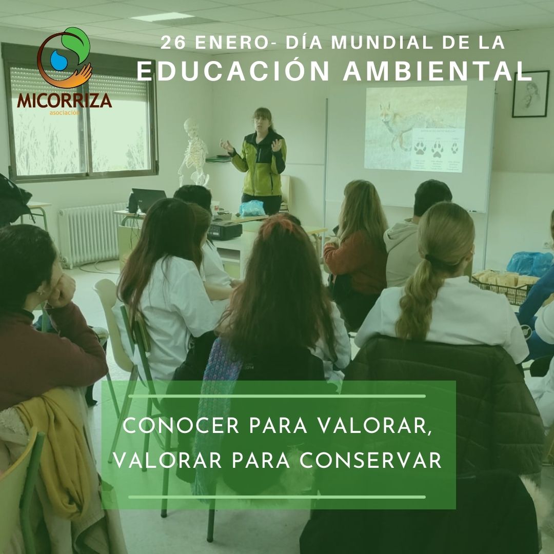 Asociacion Micorriza (@a_micorriza) on Twitter photo 