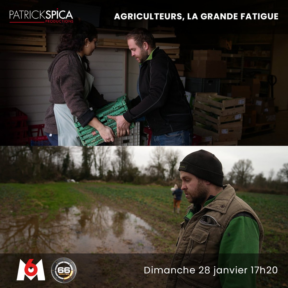 SpicaProd's tweet photo. RDV dans quelques minutes dans 66 Minutes sur M6 pour notre reportage au cœur de l’actu. En pleine crise et revendications du monde agricole, nous sommes allés à la rencontre de ces agriculteurs qui se battent pour leur métier et qui ont de plus en plus de mal à en vivre. https://t.co/v5WIcKxErb