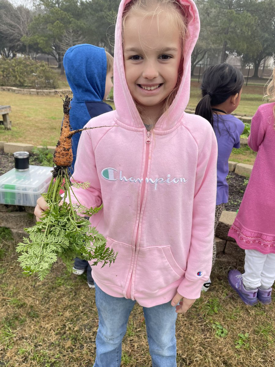 Kara Wolf tweet media