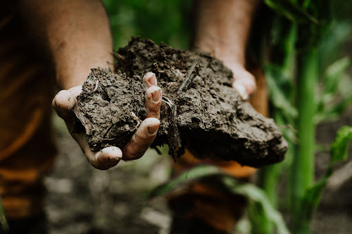 🎥 Interested in what carbon payments you could be accessing?

In next Tuesdays webinar, <a href="/LyndonCathers/">Lyndon Cathers</a> &amp; I will take you through the Soil Capital proposition, some 'carbon markets myth busting', and much more. 

🗓️- 30th January
🕓 - 5:00pm

Sign up here: info.soilcapital.com/ask-all-your-q…