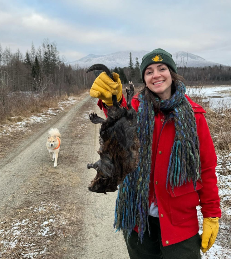 'Look honey, I killed something. Take a picture!'

Muskrat  populations are declining, but New Hampshire trappers don't care about that nonsense. Keep up the killing!

#NHCART #BanTrapping #Muskrat #ProtectNHWildlife #CompassionOverKilling