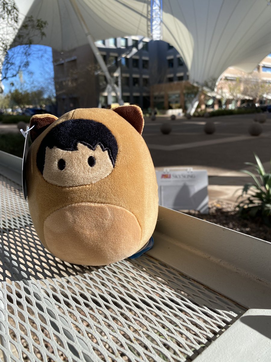 Thank you <a href="/MistyRaeJones/">Misty Jones</a> for my <a href="/salesforce/">Salesforce</a> first conference gift!