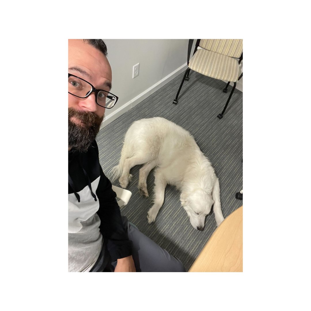 explainify's tweet image. Happy Friday! here's a part 2: the saga unfolds! We had to share more sneak peeks of our furry friend Thor 🤩
#explainify #annualmeeting #feelgoodfriday #flashbackfriday #friyay #furryfriendfriday #teambonding #worklifebalance