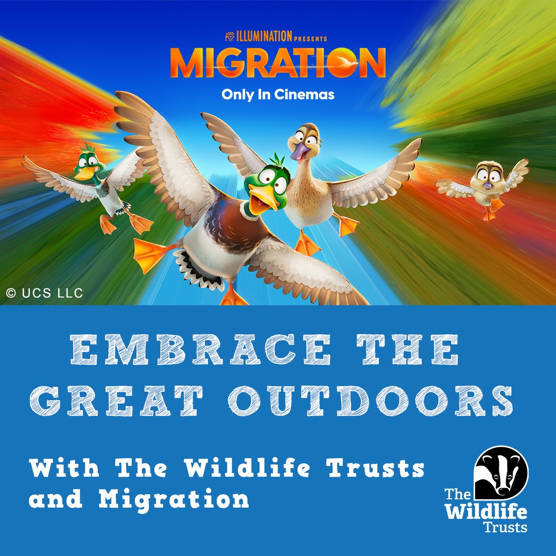 🦆✨ Embrace the great outdoors with us and Illumination’s MIGRATION 🌿 Join the adventure and draw your dream #MigrationDestination for a chance to WIN big! 🏞️ #NatureInspiration wildlifewatch.org.uk/migration T&Cs apply.​ ​ See the film, only in cinemas from 2nd Feb #MigrationMovie