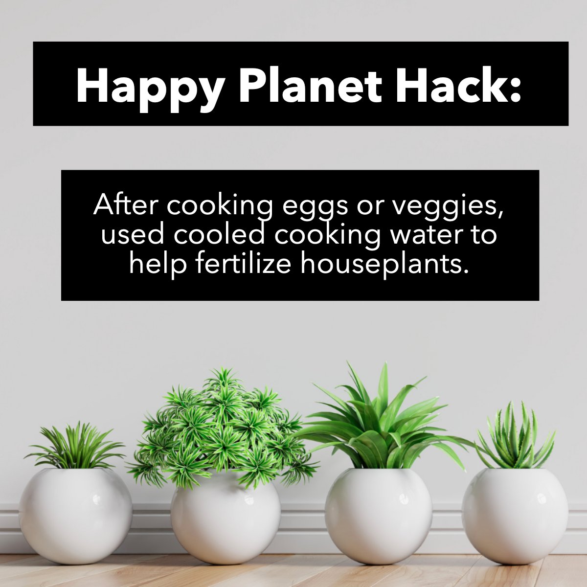 Happy Planet Hack:

Sprinkle it in your garden so that the nutrients are reabsorbed into the soil.  🌿🌷

#organicfertilizer #fertilizers #fertilizerforthefuture #ecology #hacks #organicgardening  #happyplanethack

 #hirethebolinggroup