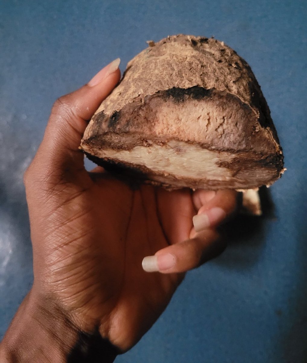 DanielRegha's tweet photo. This is one of the reasons I hate buying yam from wheelbarrow sellers; Just imagine.... https://t.co/D2tvegRApd