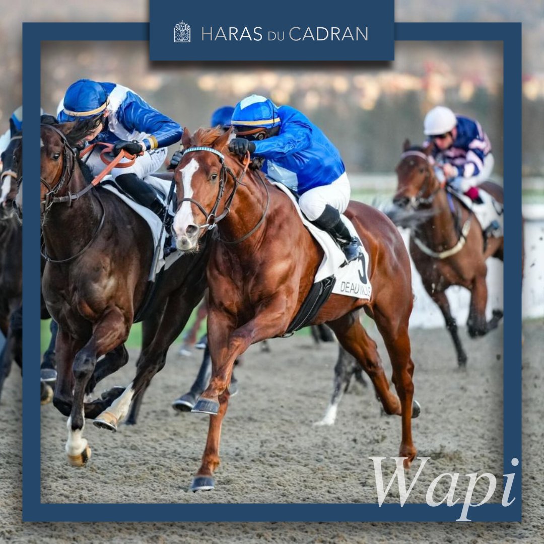 𝙒𝙖𝙥𝙞 𝙗𝙧𝙚𝙖𝙠𝙨 𝙝𝙞𝙨 𝙢𝙖𝙞𝙙𝙚𝙣 ✨ Wapi (c3 Siyouni x Holy Dazzle) breaks his maiden in the Px d’Aregenua at Deauville. Trained by Yann & Carlos Lerner & ridden by Ronan Thomas. Born and bred at Cadran. Well done to all connections involved!