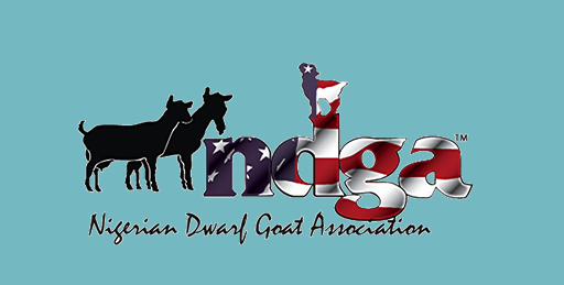 BaniasLaw's tweet photo. Every time I google "NDGA" to get to the federal district court in Atlanta, the third organic response is for the Nigerian Dairy Goat Association. I feel like their SEO person needs a raise. They are killing it. #fedlit #litigationlife https://t.co/3fwJxACSop