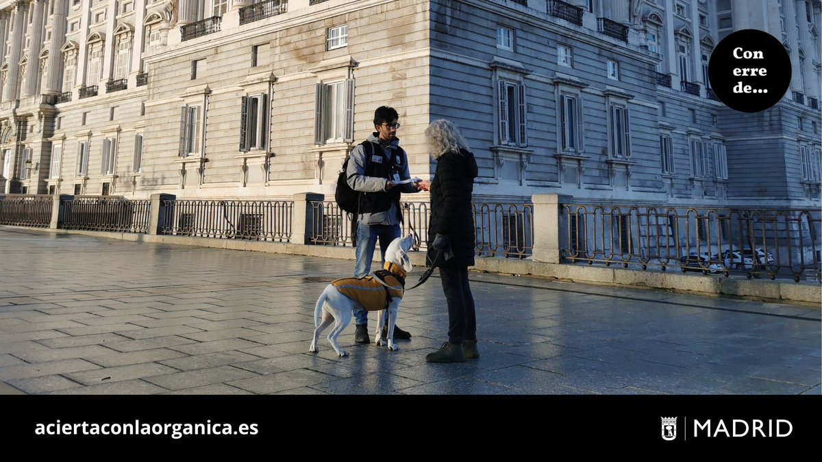 ¿Aprovechando la mañana de domingo para dar un agradable paseo con tu mascota?

Disfruta del paseo y no te olvides de:

✅Recoger los excrementos caninos.
✅Diluir los orines.
✅Cumplir las normas de uso de las áreas caninas.
✅Respetar los horas de suelta en parques y jardines.