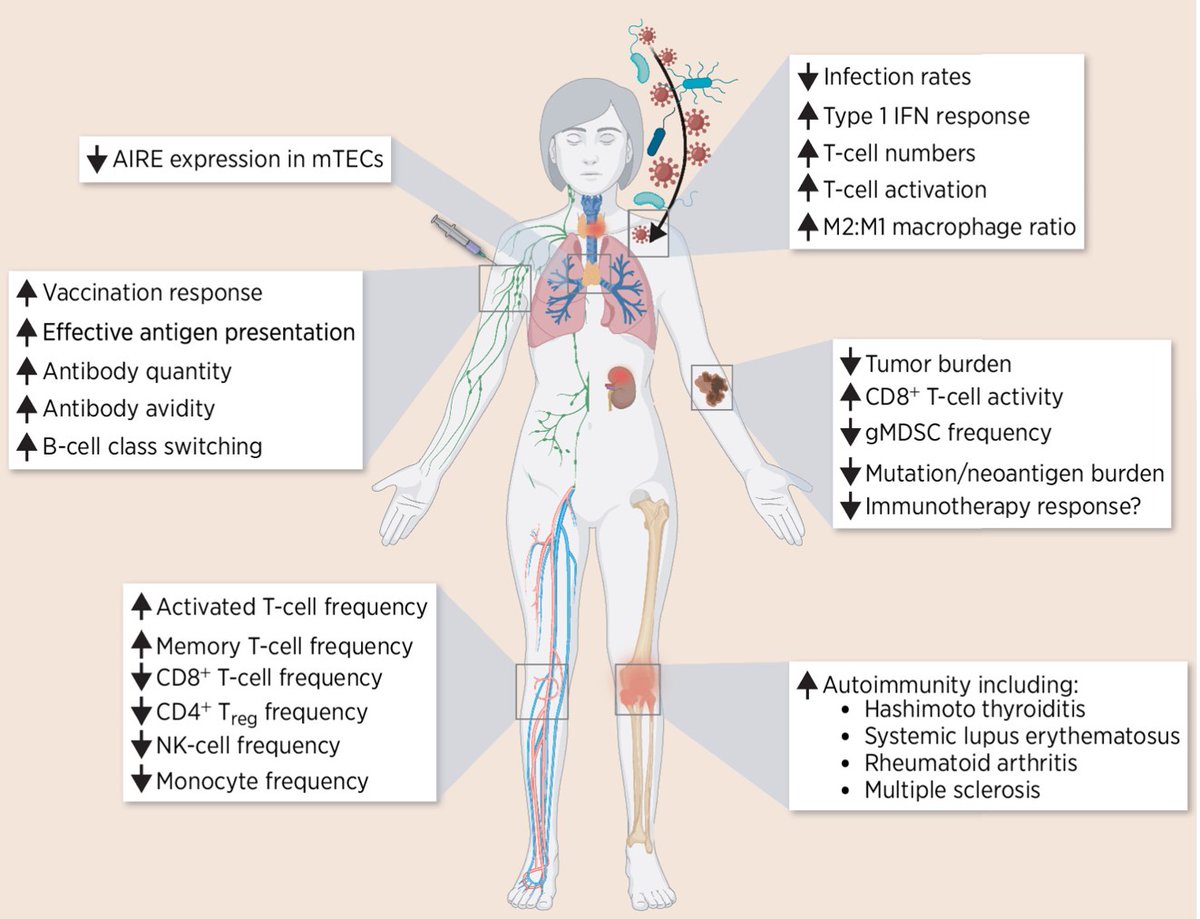 Cancer Immunology Research (@cir_aacr) on Twitter photo New review by Katey S. Hunt and <a href="/AlspachLab/">AlspachLab</a>—
Battle Within the Sexes: Differences in Male and Female Immunity and the Impact on Antitumor Responses.
bit.ly/3UgoVC9
<a href="/slusom/">SLU Medicine</a> New review by Katey S. Hunt and <a href="/AlspachLab/">AlspachLab</a>—
Battle Within the Sexes: Differences in Male and Female Immunity and the Impact on Antitumor Responses.
bit.ly/3UgoVC9
<a href="/slusom/">SLU Medicine</a>