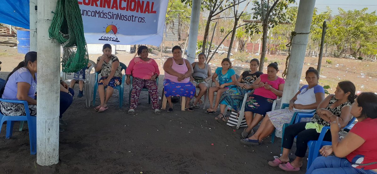 Red de mujeres Escuintla, con pasos firmes avanzamos hacia la construcción del ESTADO PLURINACIONAL. Se aborda el sistema de salud y cómo podemos recuperar la medicina ancestral.