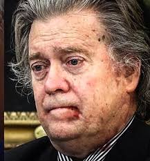 MsKittNoire's tweet image. Two of Irelands most disgusting and repulsive exports:
😷
#SteveBannon 
#pinkslime
#nasty
#MAGA