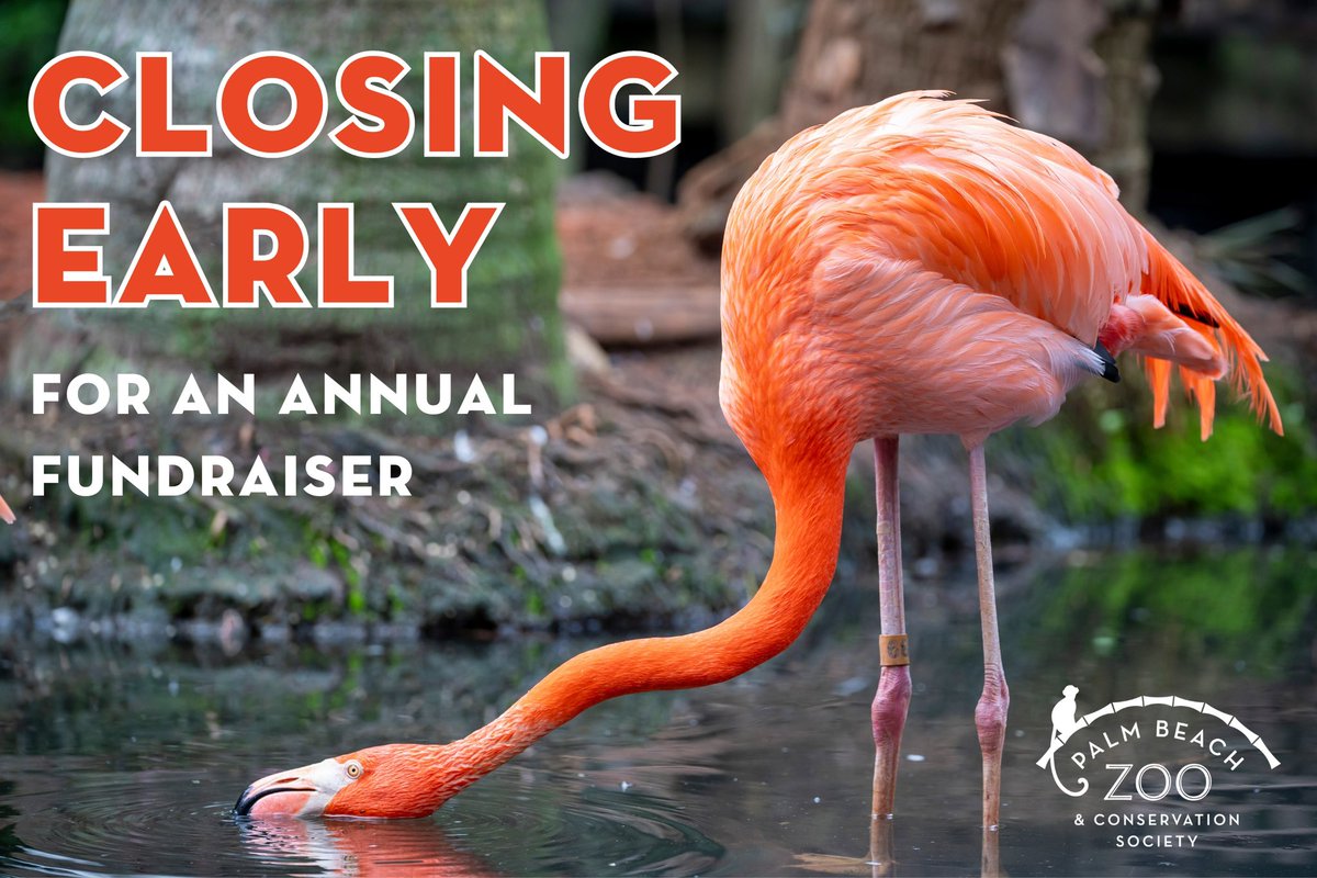 We are closing at 4PM today (1/26) with the last ticket sold at 3:15PM. Thank you for your understanding as we prepare for an annual fundraiser.