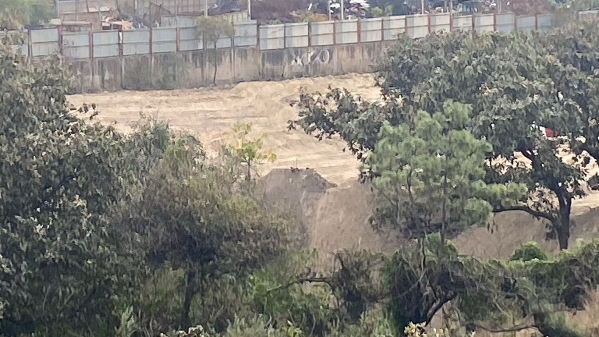 bosquenixticuil's tweet photo. Está semana maquinaria de alguna empresa devastó parte de la zona núcleo del área protegida del bosque Nixticuil, anexa a la empresa PROMASA chatarra, por lo menos 4 árboles derribados y gran cantidad de toneladas de tierra arrojadas a una cañada. Urge inspección de @InspZapopan https://t.co/jPiufx1Gkb