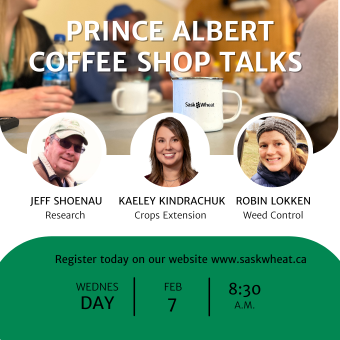 PRINCE ALBERT 

Coffee Shop Talks is coming to your city! Come network and chat with industry experts in a laid-back format while having a coffee and some treats. We want to make learning comfortable, so join us FEBRUARY 1 for #CoffeeShopTalks ! 

REGISTER
saskwheat.ca/events/coffee-…