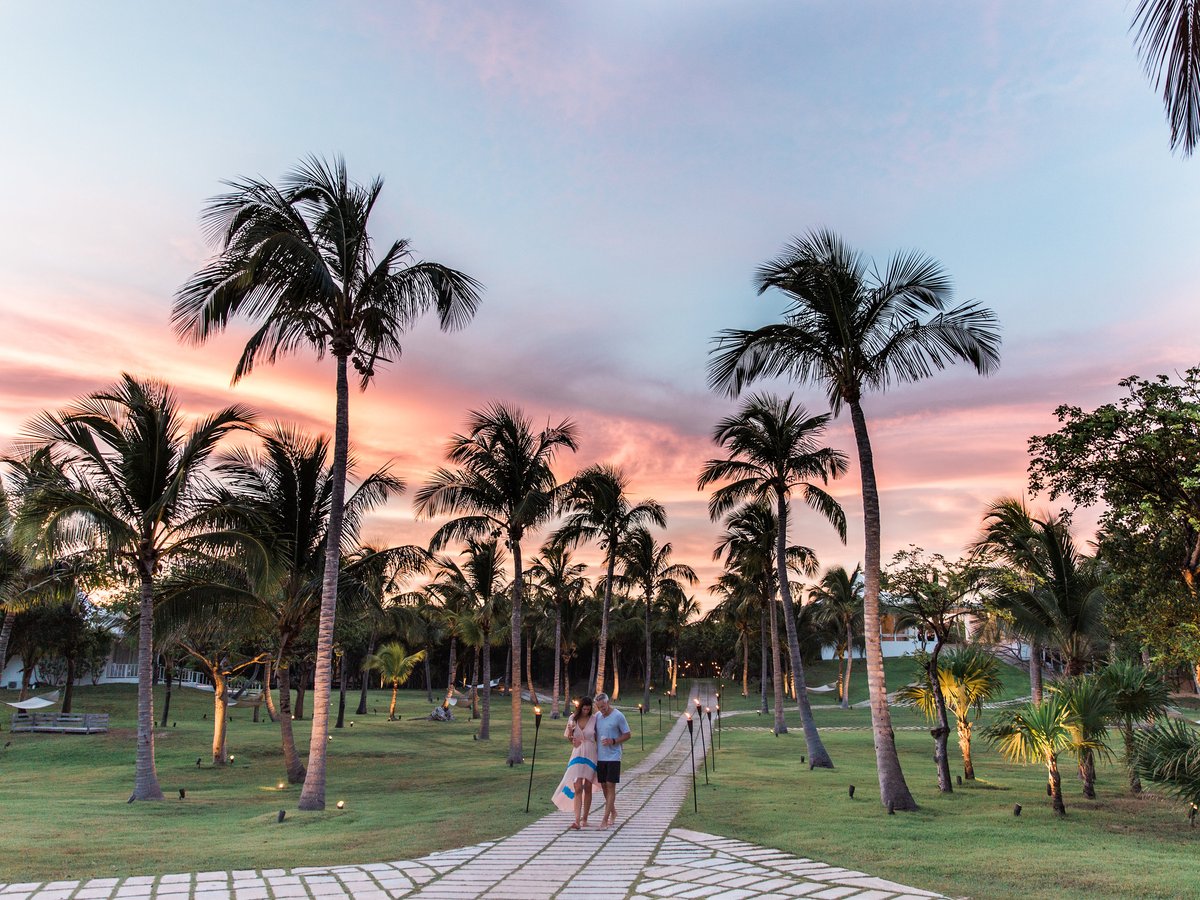The Cove | Eleuthera tweet media