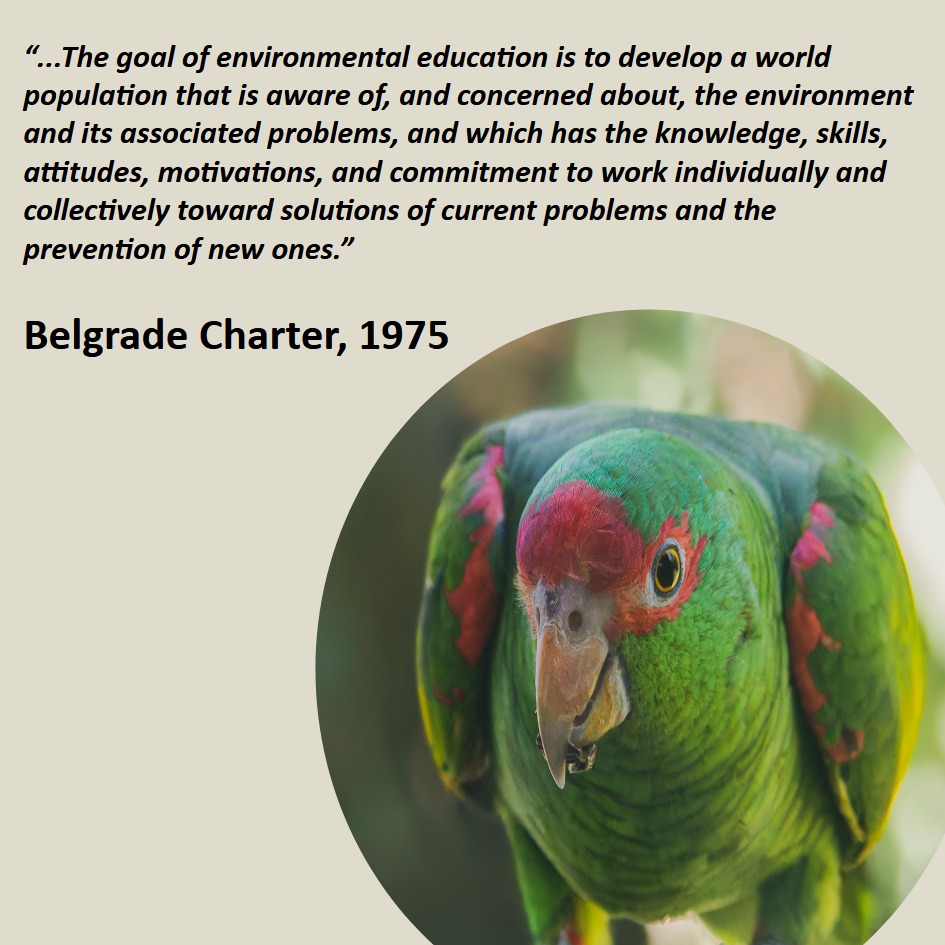 Today, January 26th, Environmental Education Day is celebrated. The date established in 1975 by UNESCO to think about how human beings in society can live better with the environment.