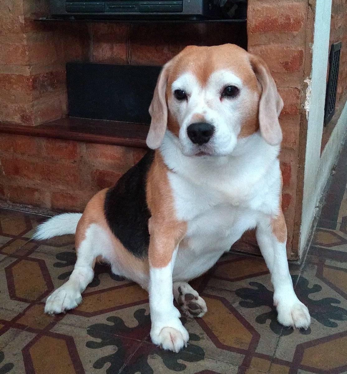 Estoy destrozado !!!