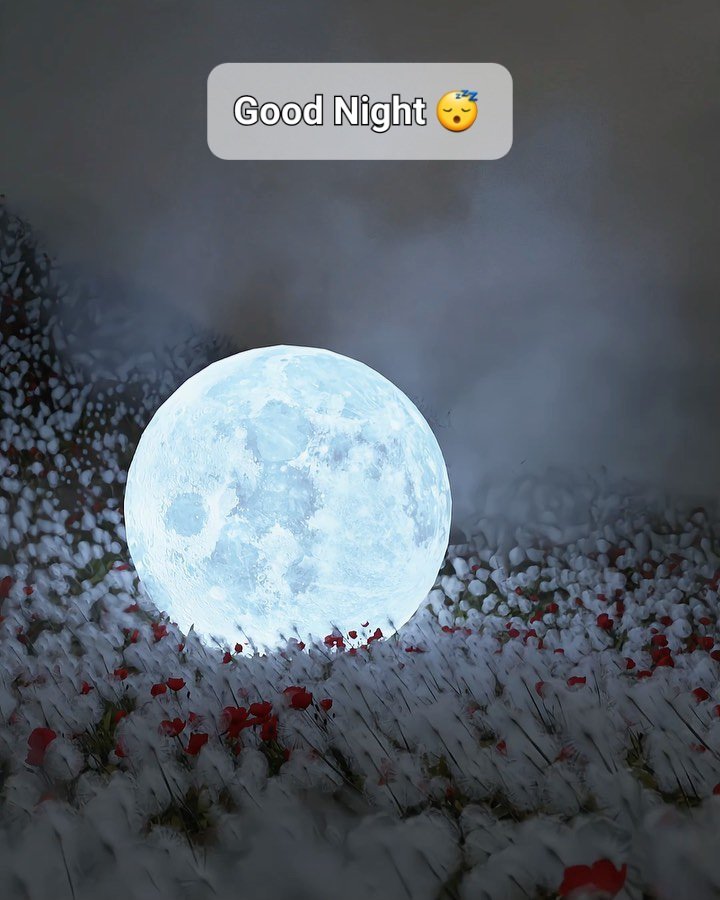 Good night, everyone 😴 Sweet dreams #NightHasCome #Dreamcatcher