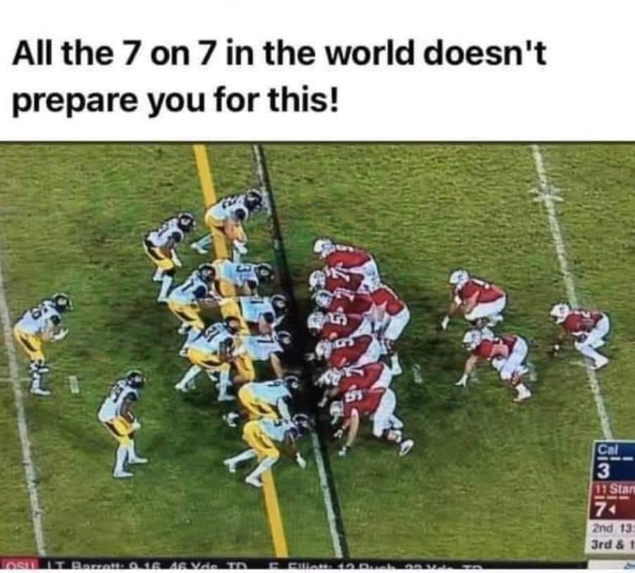 The 95 Brigade tweet media