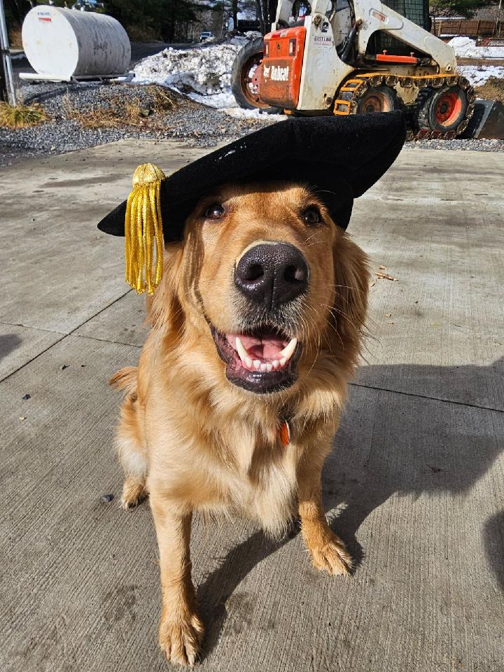 Audrey Huff tweet media