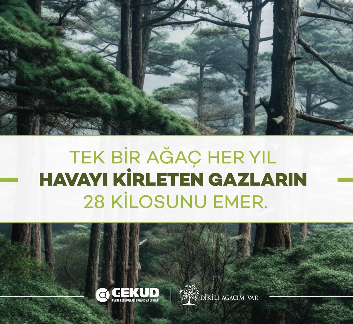 Neden ağaç dikmeli? 🌱🌳
Tek bir ağaç her yıl havayı kirleten gazların 28 kilosunu emer. 

#climate #mindfulness #creativity #leadership #innovation #management #motivation #tips #productivity #project #environment #enronmental #greenworld #solutions #eco #climatechange #power…