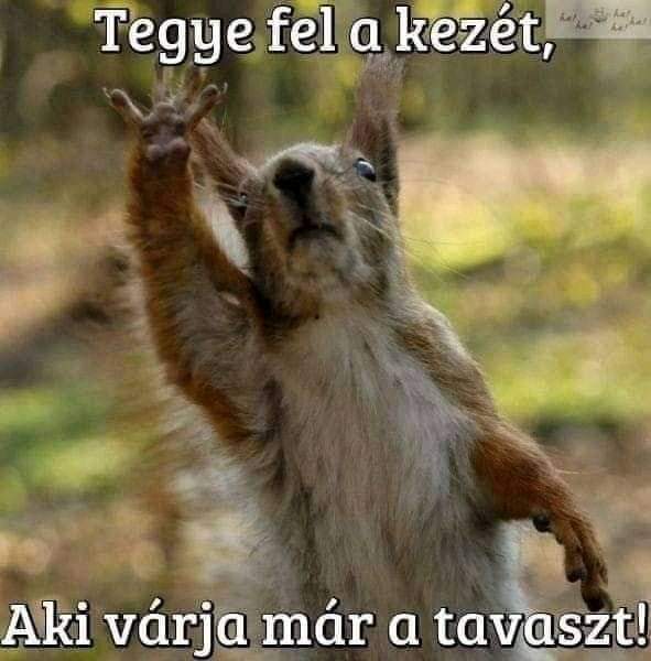 Tegye fel a kezét,

Aki várja már a tavaszt