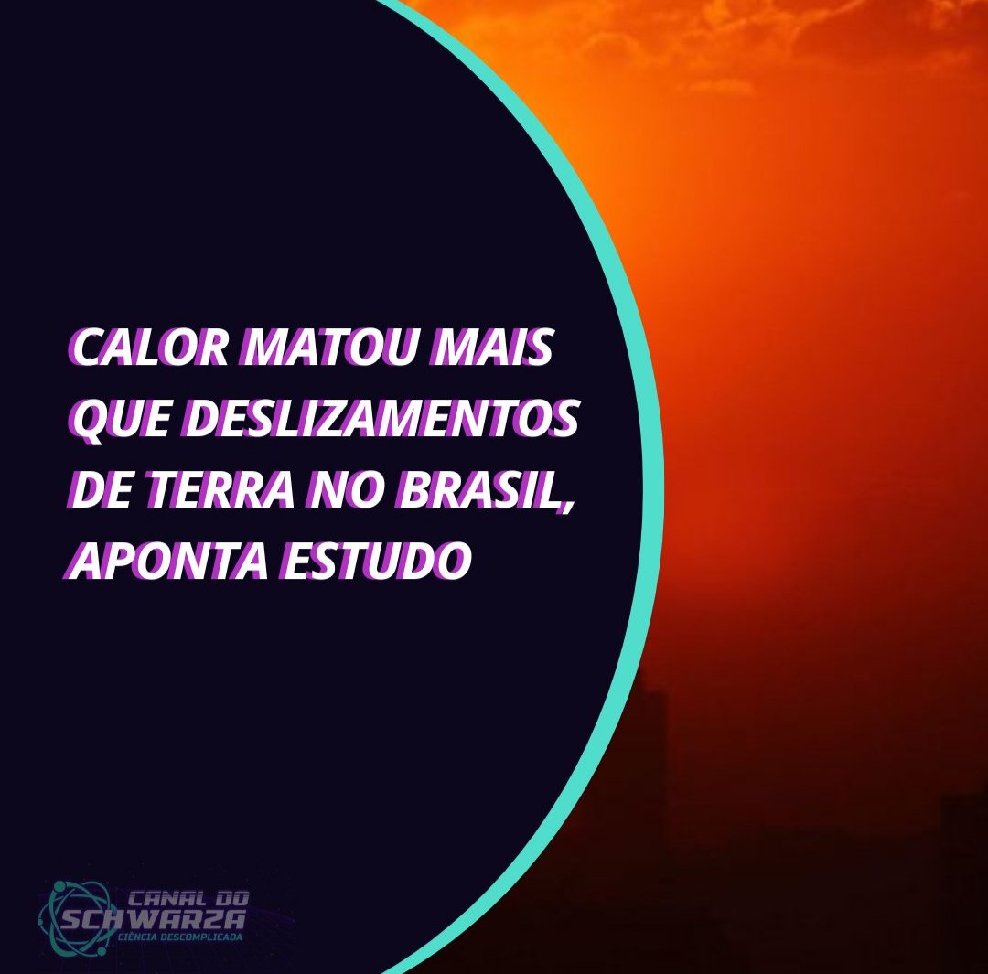 Os dados inéditos foram compilados em estudo publicado na quarta-feira (24/1) por 12 pesquisadores de sete universidades e instituições brasileiras e portuguesas

Saiba mais: curtlink.com/TLjJ